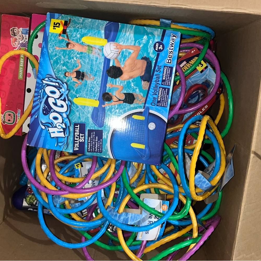 Assorted pool items